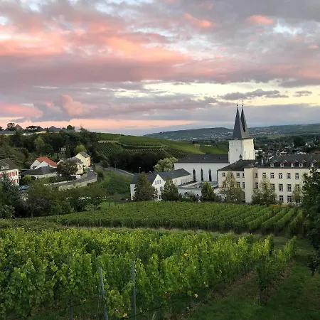 Ferienwohnung Bei Beppi Geisenheim Exterior foto